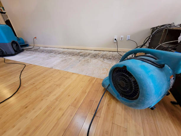 Professional Ceiling Water Damage Repair technician working in Douglassville, PA